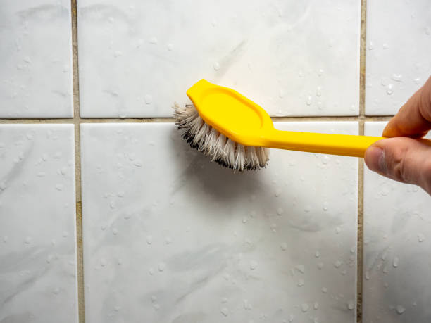 Best Emergency Mold Removal  in Elwood, NY