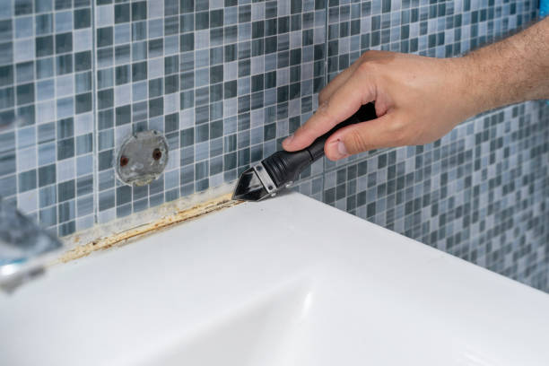 Best Mold Testing  in Elwood, NY